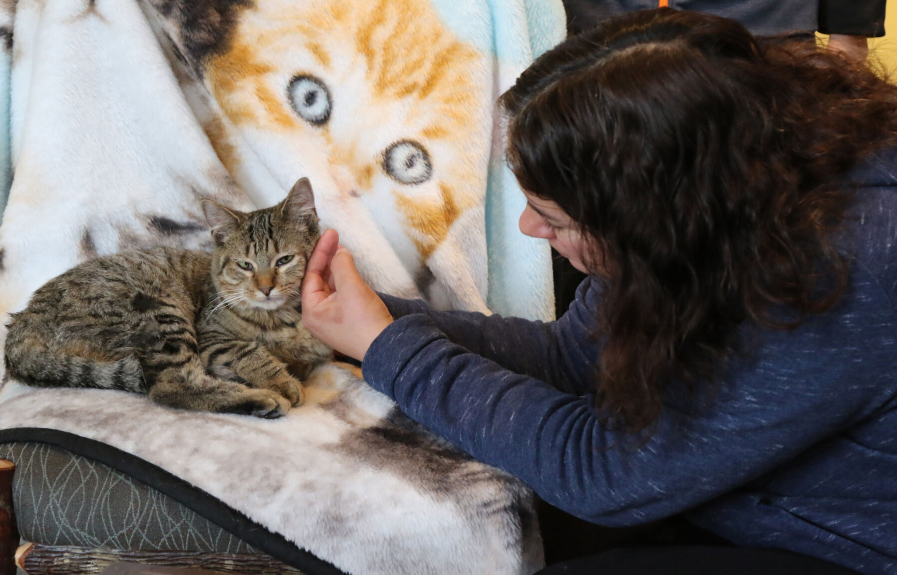 The Region Cat Cafe